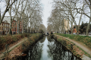 Vétérinaire de garde Toulouse